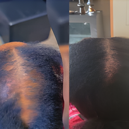 OrréNaturals™ Hair Revival Ampoule (1.5oz)